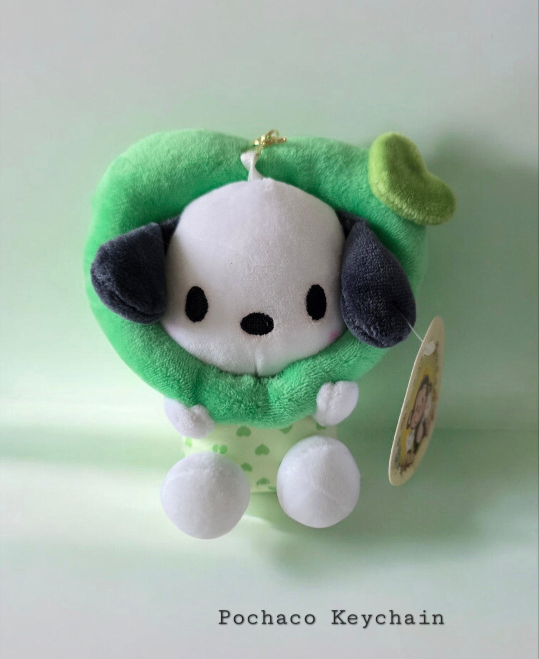 Pochaco Keychain